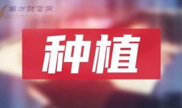 岳阳最新爆料新闻报道网,揭秘岳阳神秘事件真相！