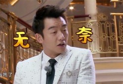 明星爆料真名大全最新消息,揭秘娱乐圈真实姓名大揭秘！”